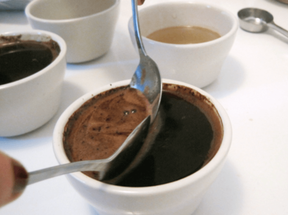 Cupping coffee - The official way to taste your coffee