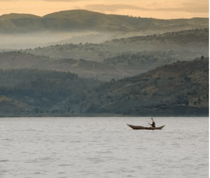 D.R. Congo Olive Mudekereza Robusta råkaffe bönor