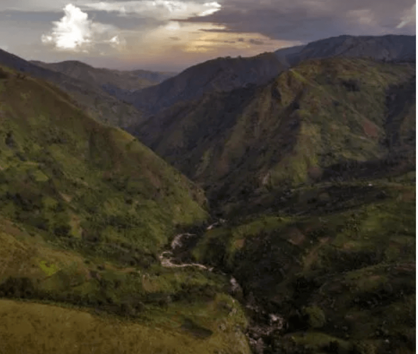 D.R. Congo Olive Mudekereza Robusta råkaffe bönor