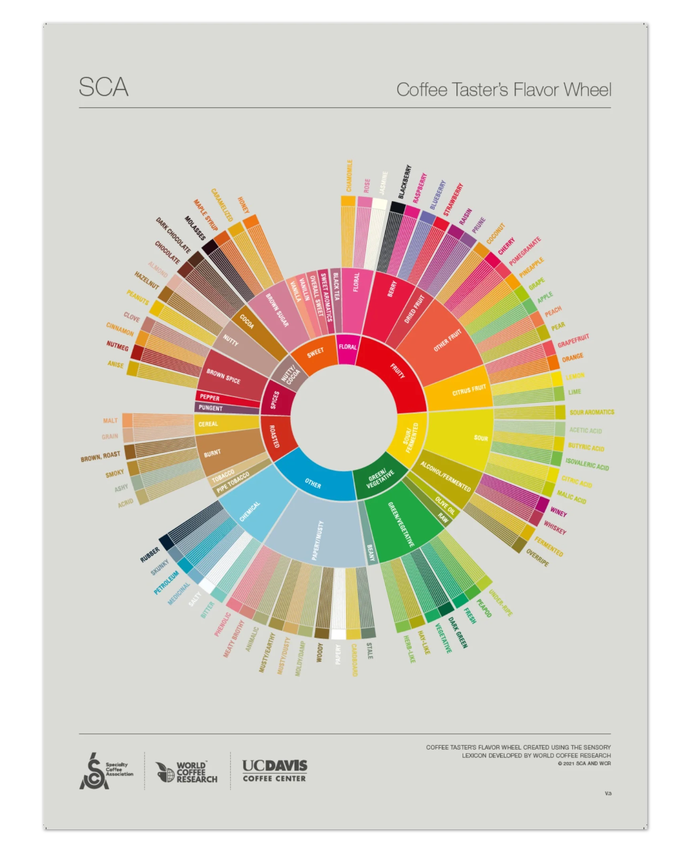 The Coffee Taster's Flavor Wheel Poster - SCA