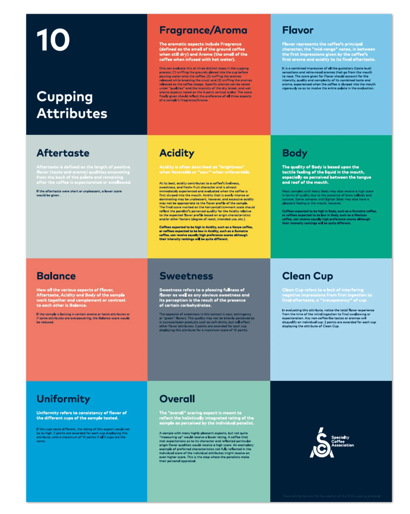 Cupping Attributes Poster - SCA