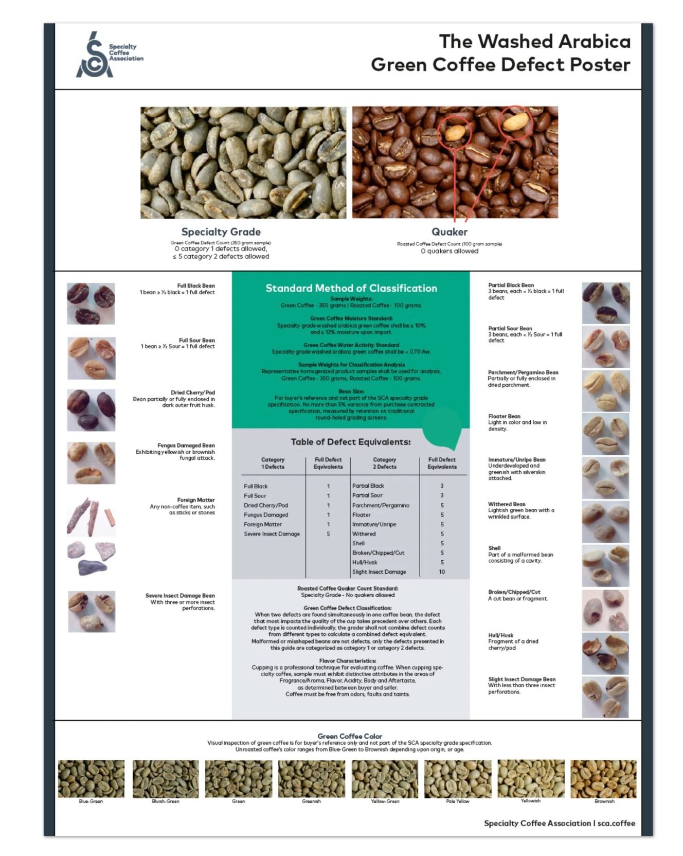 Arabica Poster - English - SCA